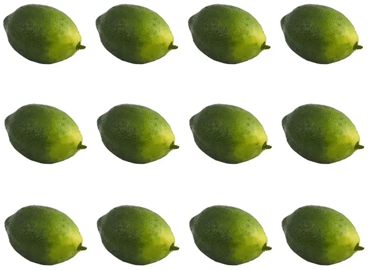 Faux Limes (Set of 12)