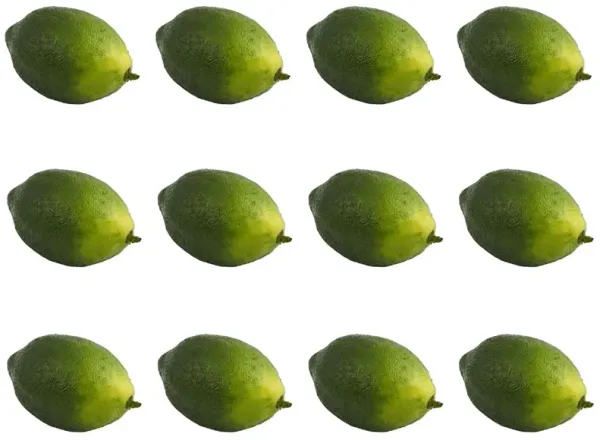 Faux Limes (Set of 12)
