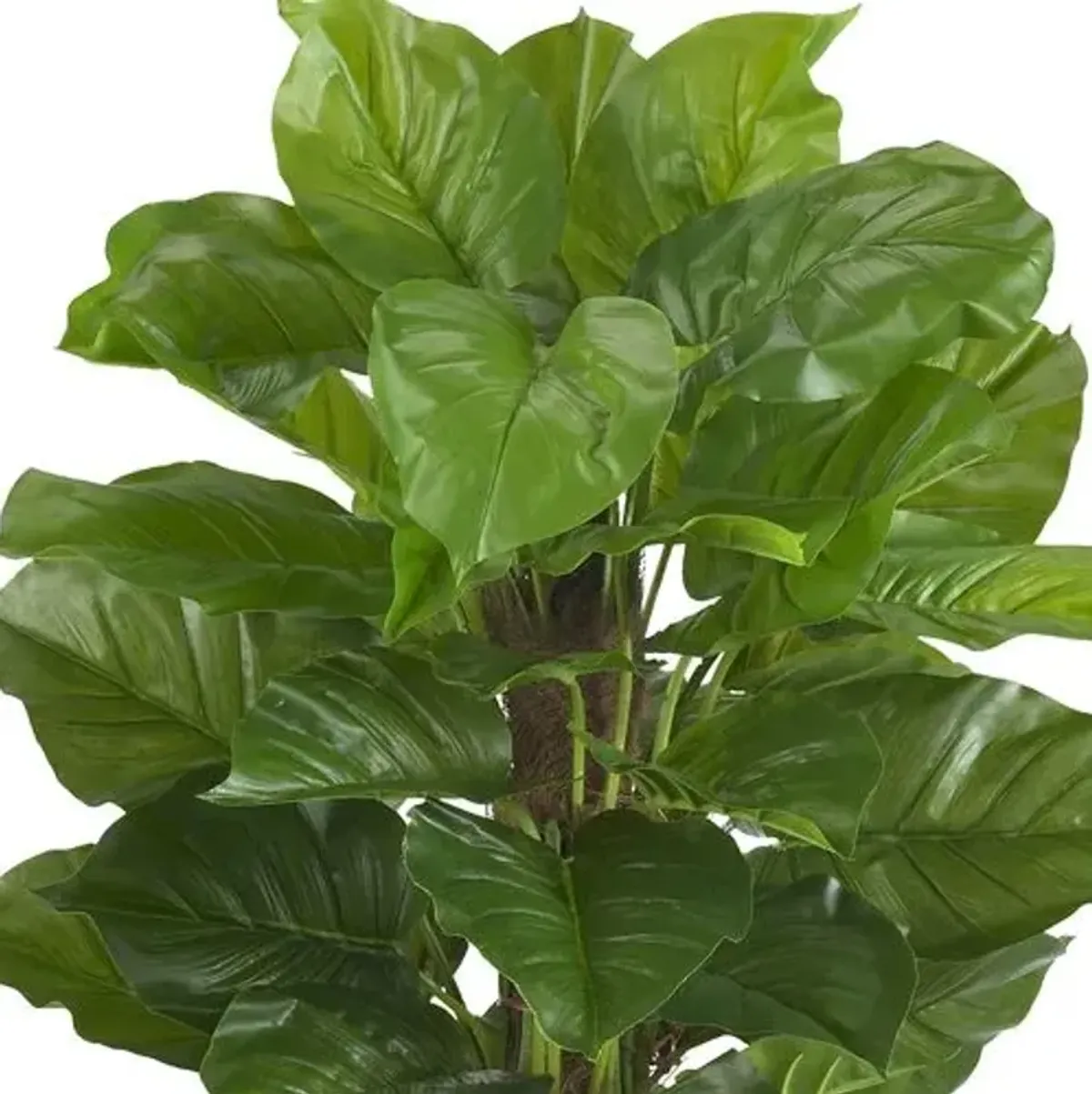 Faux Philodendron Plants - Green