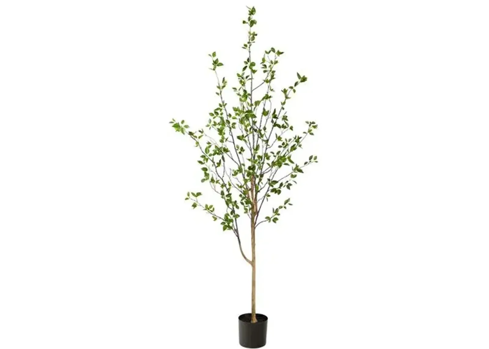 Faux Citrus Tree 6.5' - Green