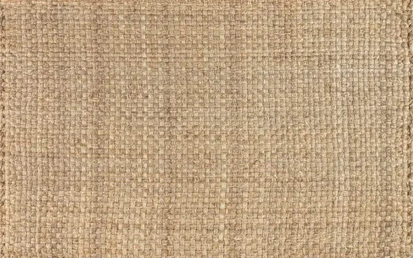 Terra Hand Woven Jute Rug, Natural