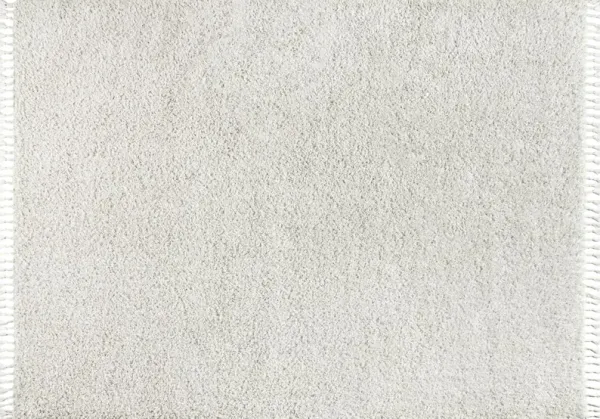 Broome Shag Plush Tassel Rug
