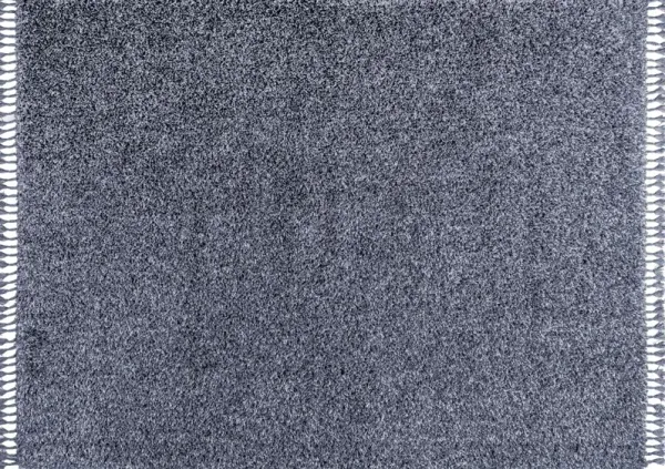 Broome Shag Plush Tassel Rug