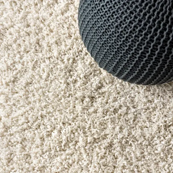 Broome Shag Plush Tassel Rug