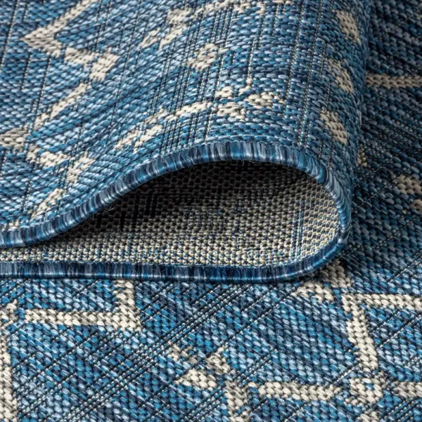 Nemy Indoor/Outdoor Rug