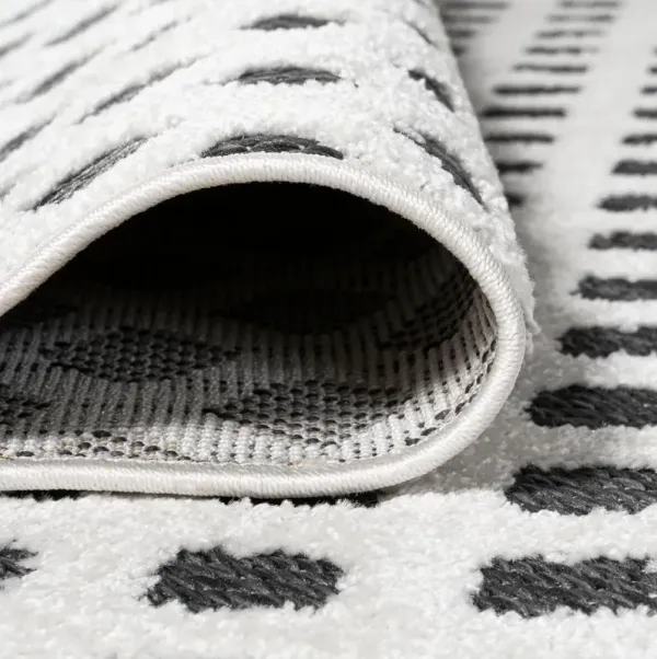 Raba Indoor/Outdoor Rug