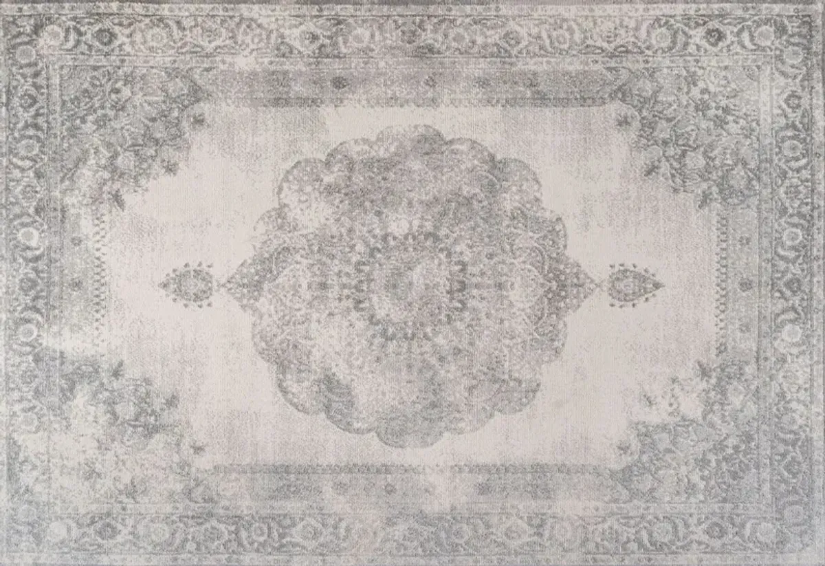 Rosilie Cottage Medallion Rug