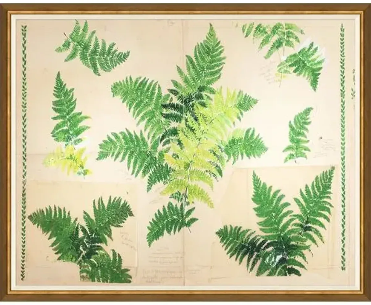 Paule Marrot - Fern Variation I - Soicher Marin - Green