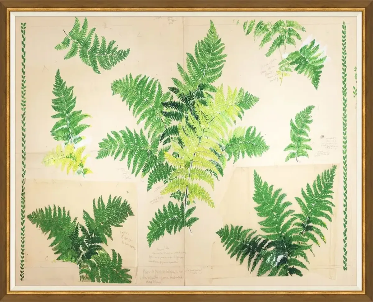Paule Marrot - Fern Variation I - Soicher Marin - Green
