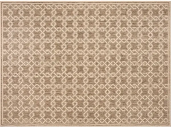 Courtsy Rug