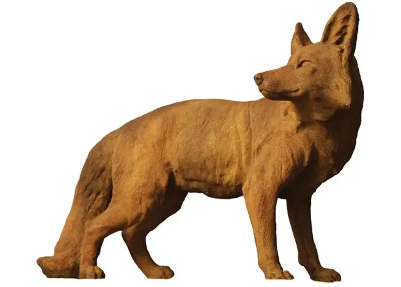 20" Steady Fox Outdoor Statue - Sandstone - Brown