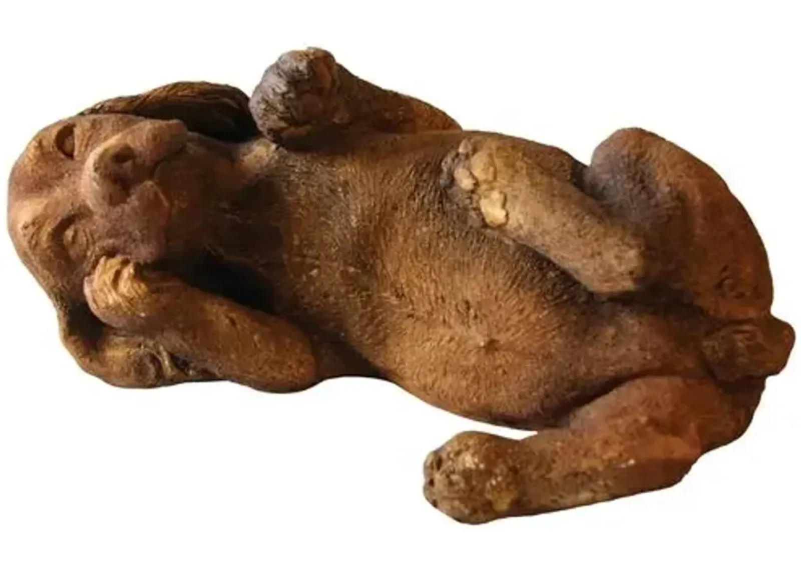 7" Playing Puppy Outdoor Statue - Brown