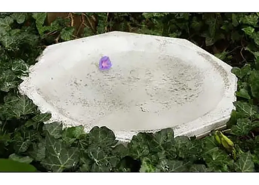 18" Octagonal Ground Birdbath - Cathedral White