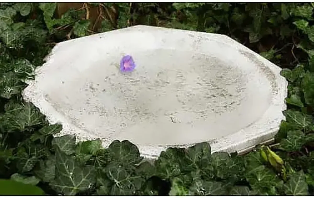 18" Octagonal Ground Birdbath - Cathedral White