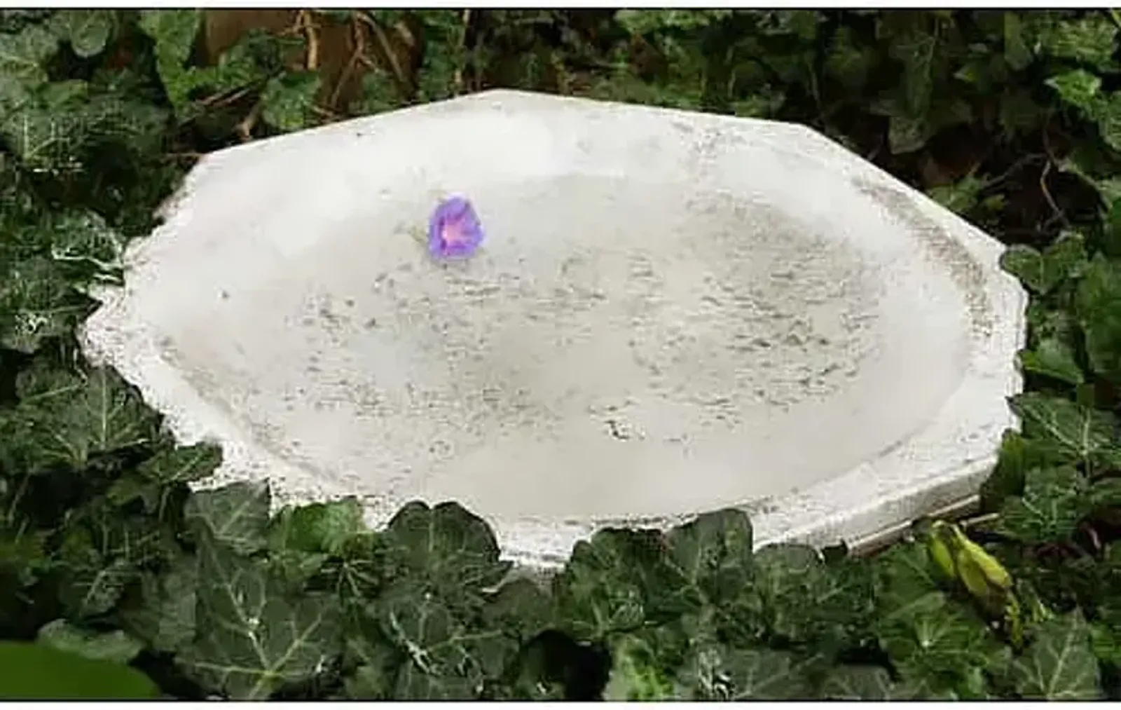 18" Octagonal Ground Birdbath - Cathedral White