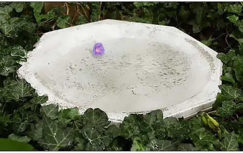 18" Octagonal Ground Birdbath - Cathedral White