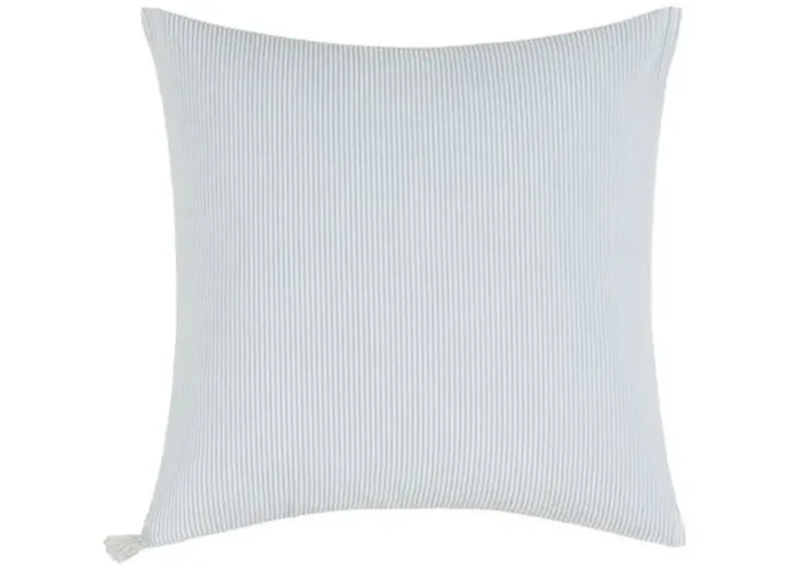 Remo Decorative Pillow - Lands Downunder