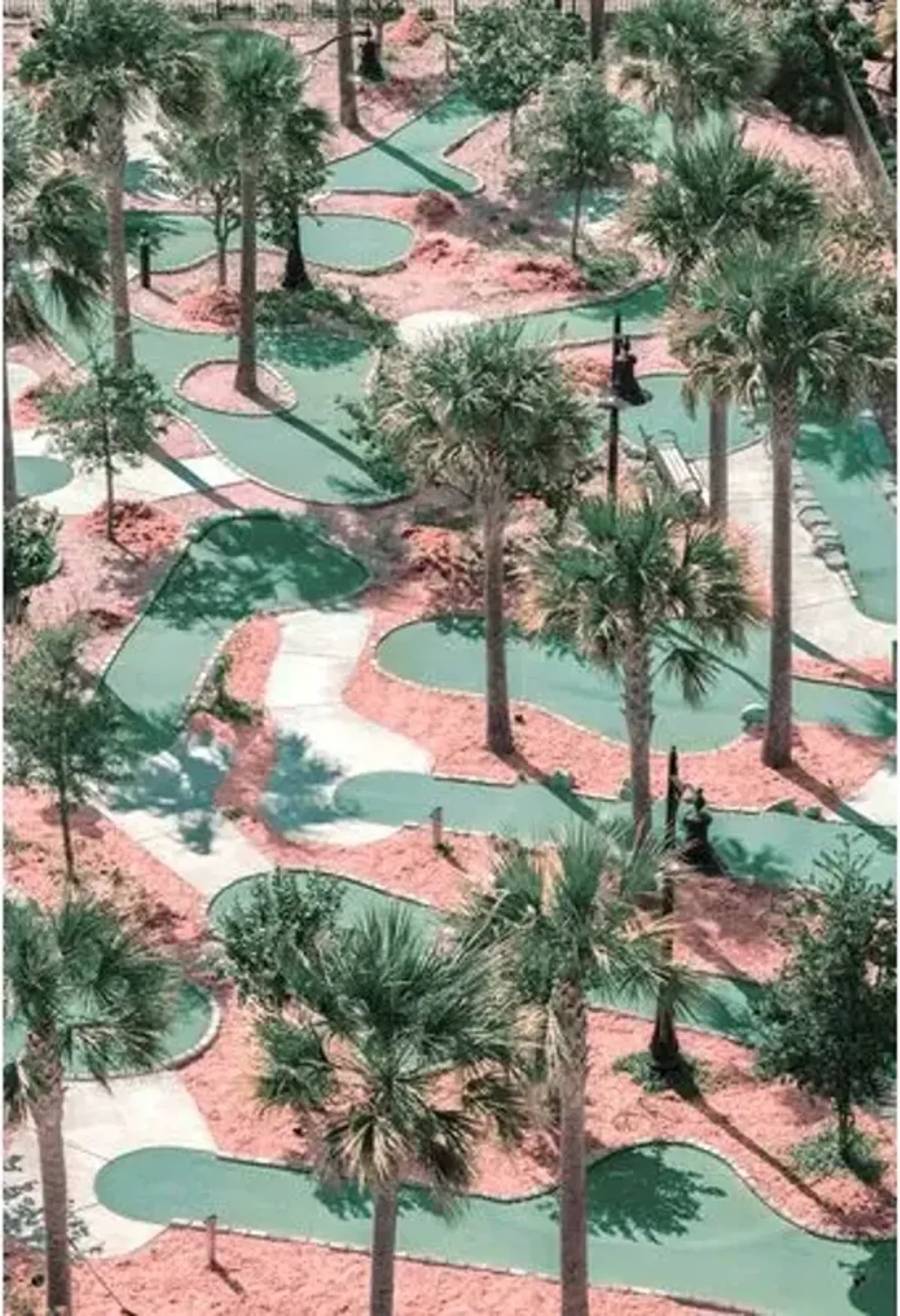 Palms and Pinks - Green