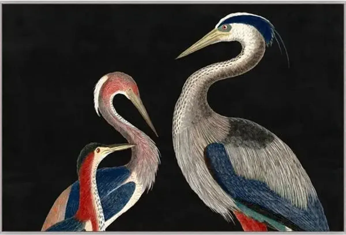 Family of Herons - Blue