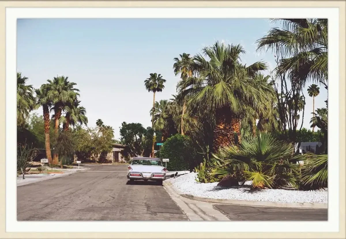 Parked Under the Palms