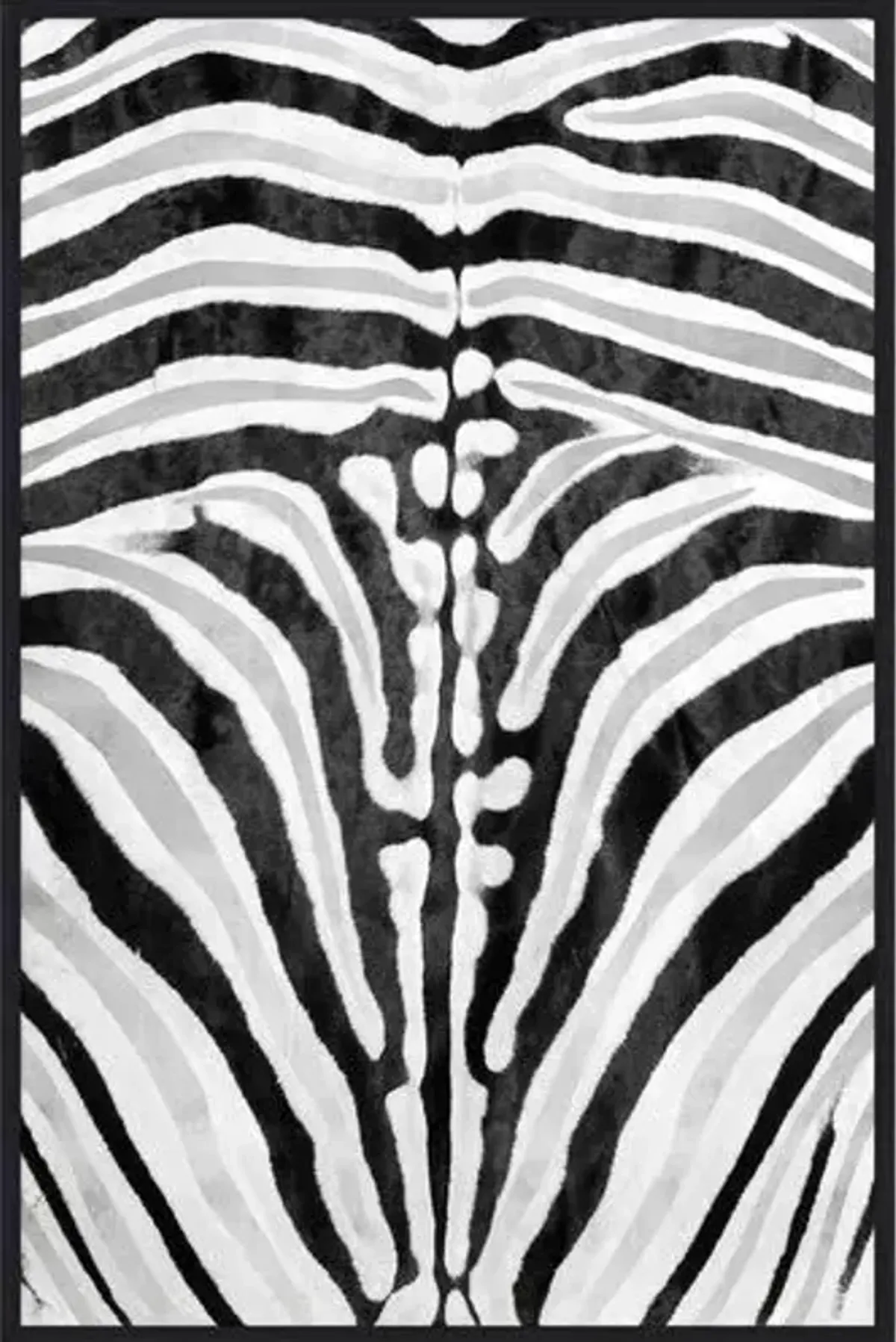 Zebra Stripes - Black