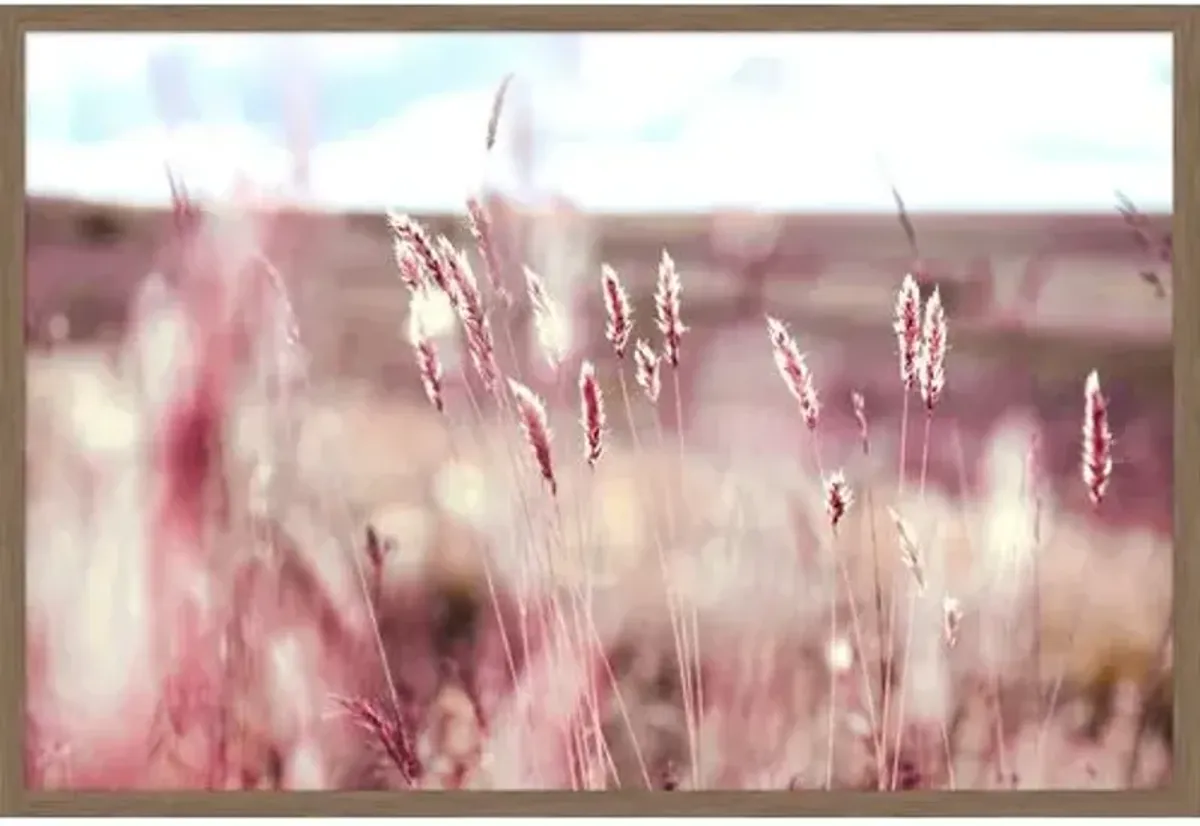 Field of Pink