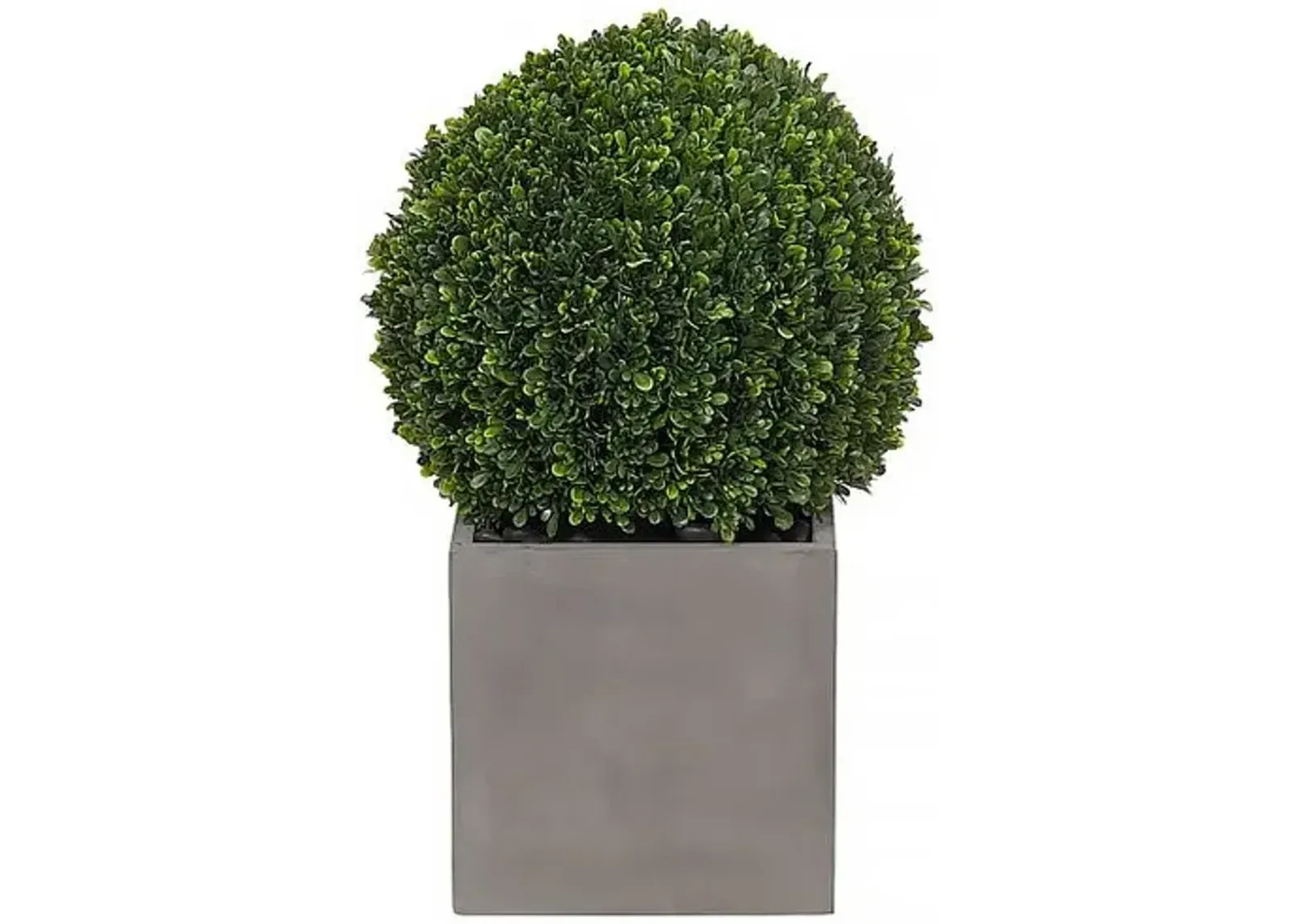 25" Boxwood Ball Topiary in Concrete Cube - Faux - NDI - Green