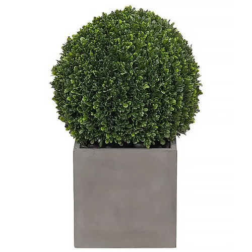 25" Boxwood Ball Topiary in Concrete Cube - Faux - NDI - Green