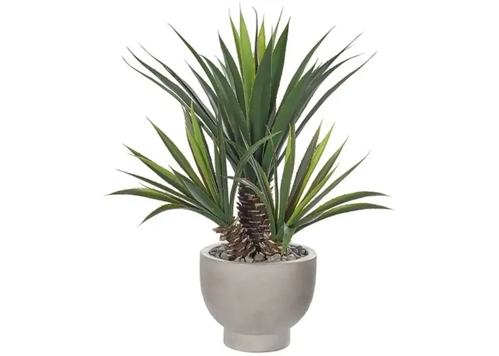 26" Aloe Plant in Concrete Bowl - Faux - NDI - Green