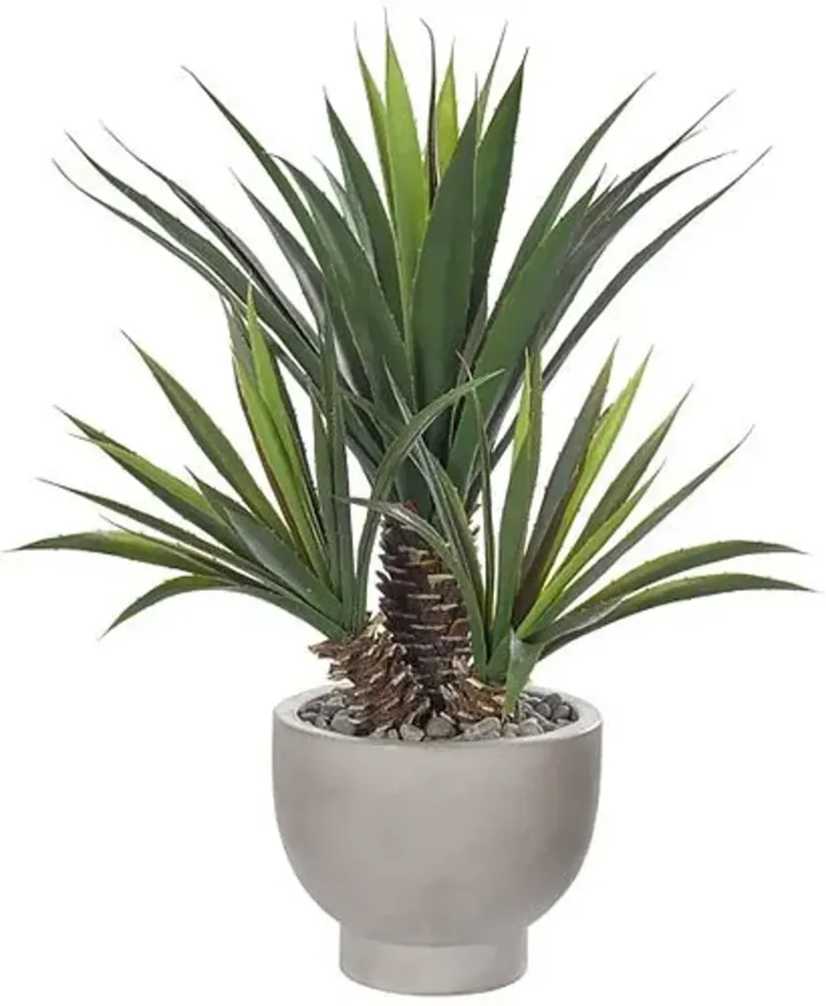 26" Aloe Plant in Concrete Bowl - Faux - NDI - Green