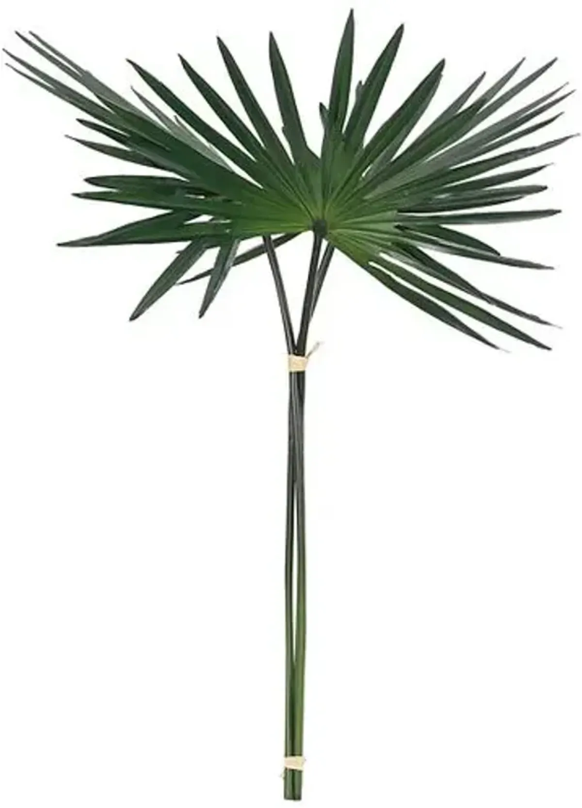 21" Fan Palm Drop In Stems - Faux - NDI - Green