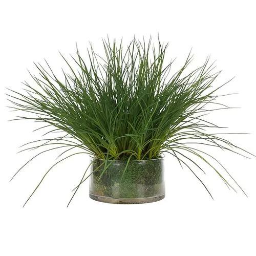 17" Grass in Glass Vase with Moss - Faux - NDI - Green