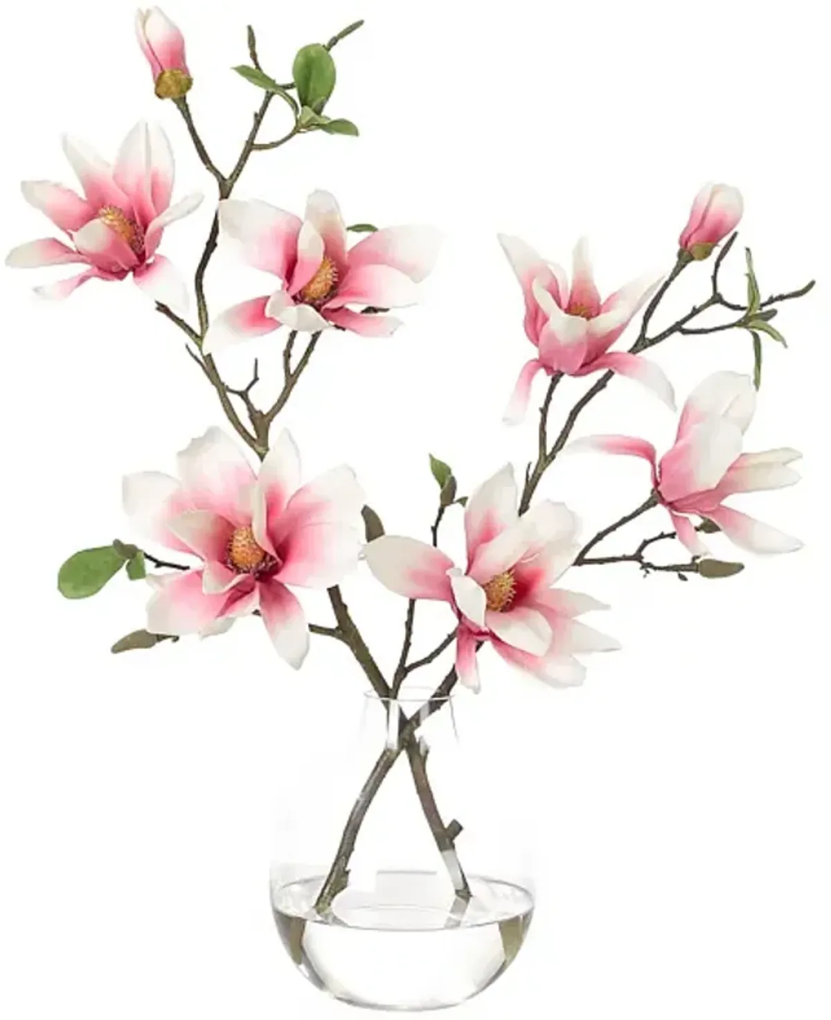 22" Pink Magnolia Arrangement in Glass Bulb Vase, Faux