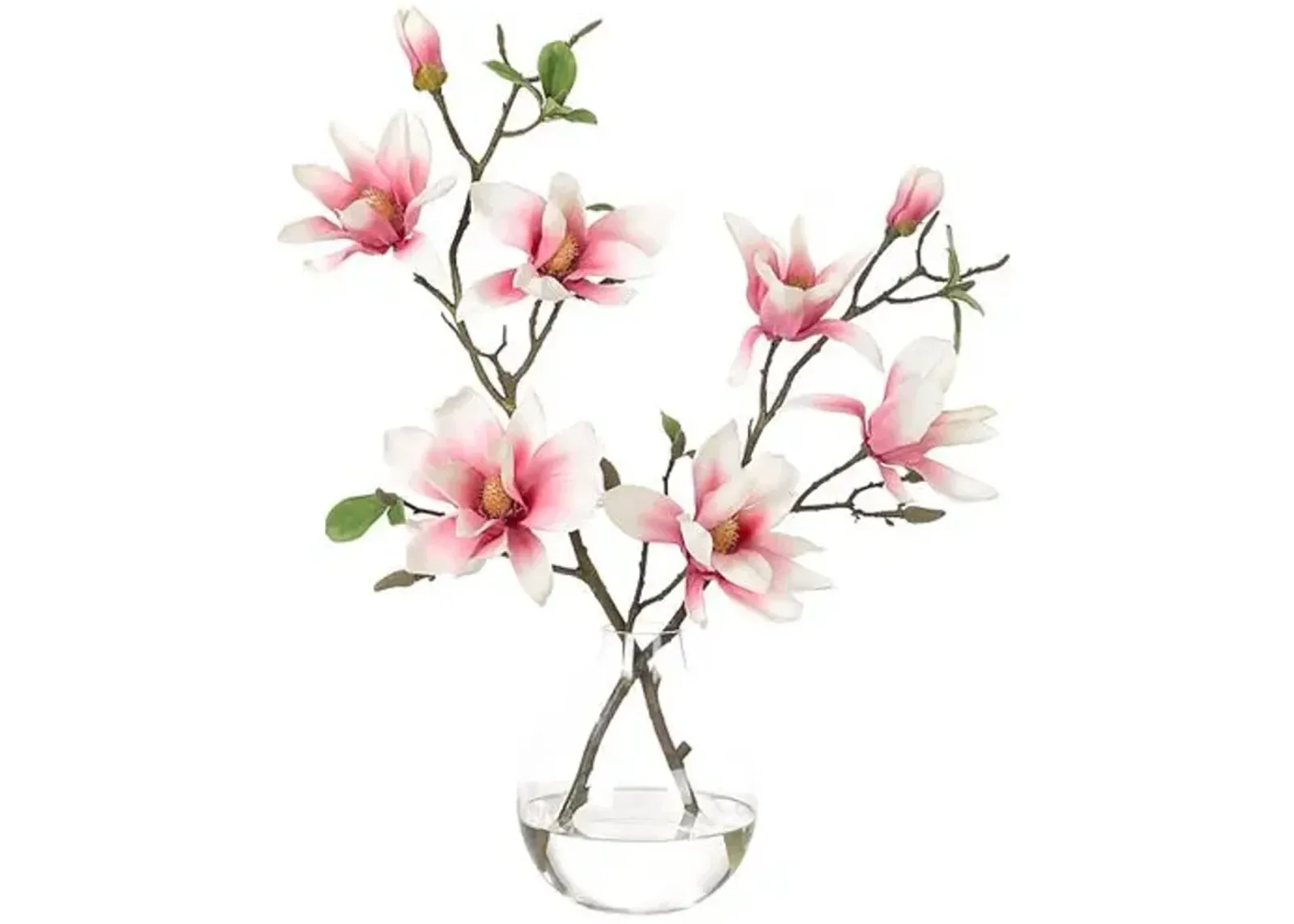 22" Pink Magnolia Arrangement in Glass Bulb Vase - Faux - NDI