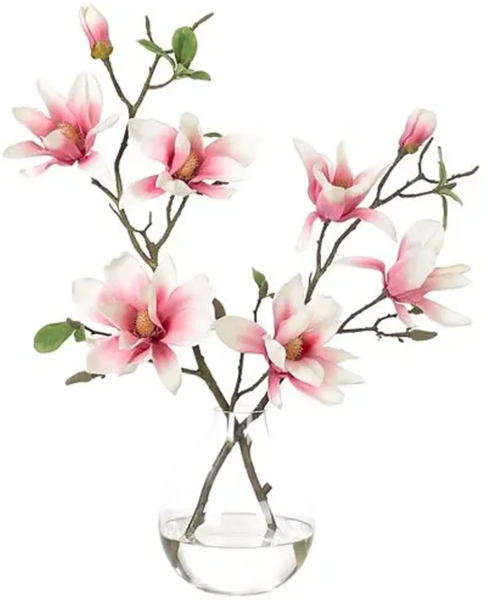 22" Pink Magnolia Arrangement in Glass Bulb Vase - Faux - NDI