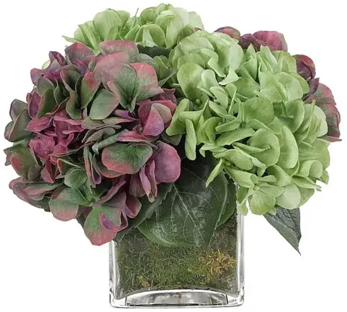 10" Hydrangeas in Glass Cube Vase with Moss - Faux - NDI - Purple