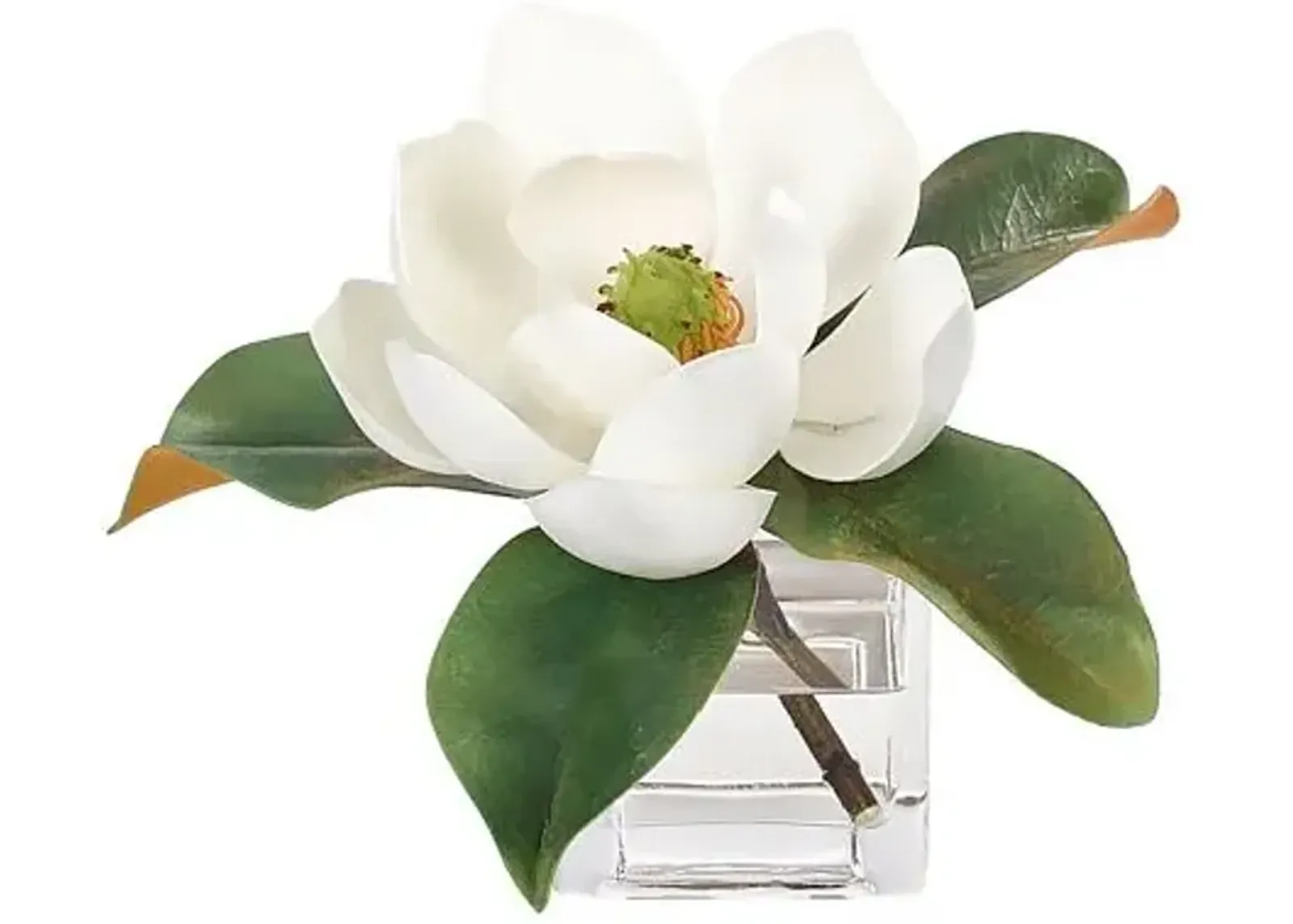 7" Magnolia in Glass Cube Vase - Faux - NDI - White