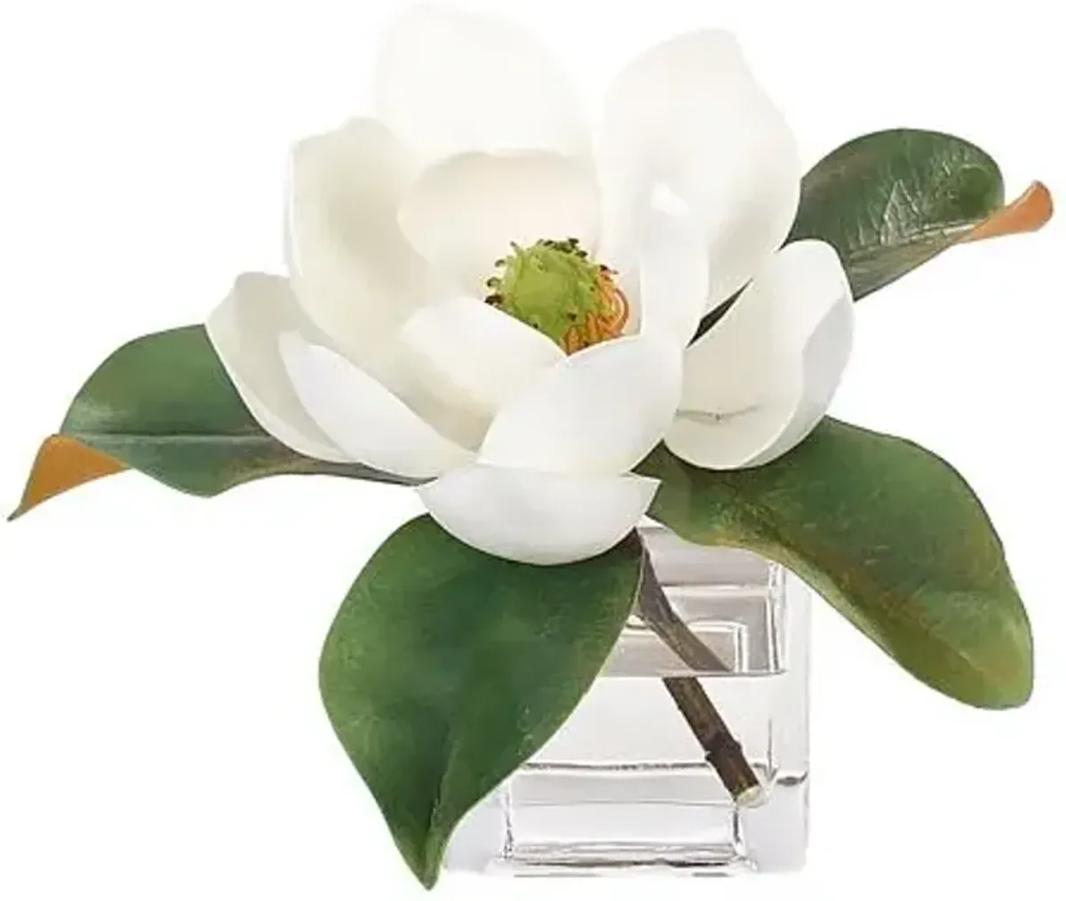 7" Magnolia in Glass Cube Vase - Faux - NDI - White