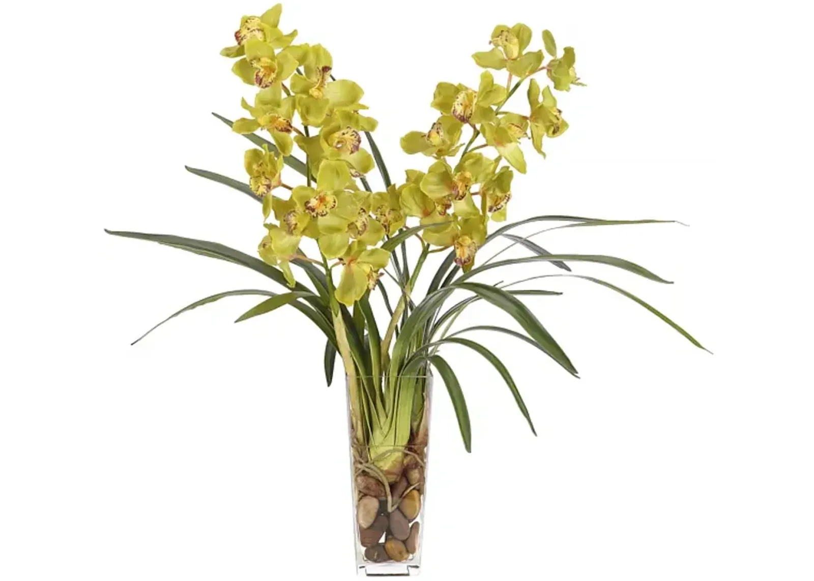 32" Orchid Cymbidium in Glass Square Vase - Faux - NDI - Green