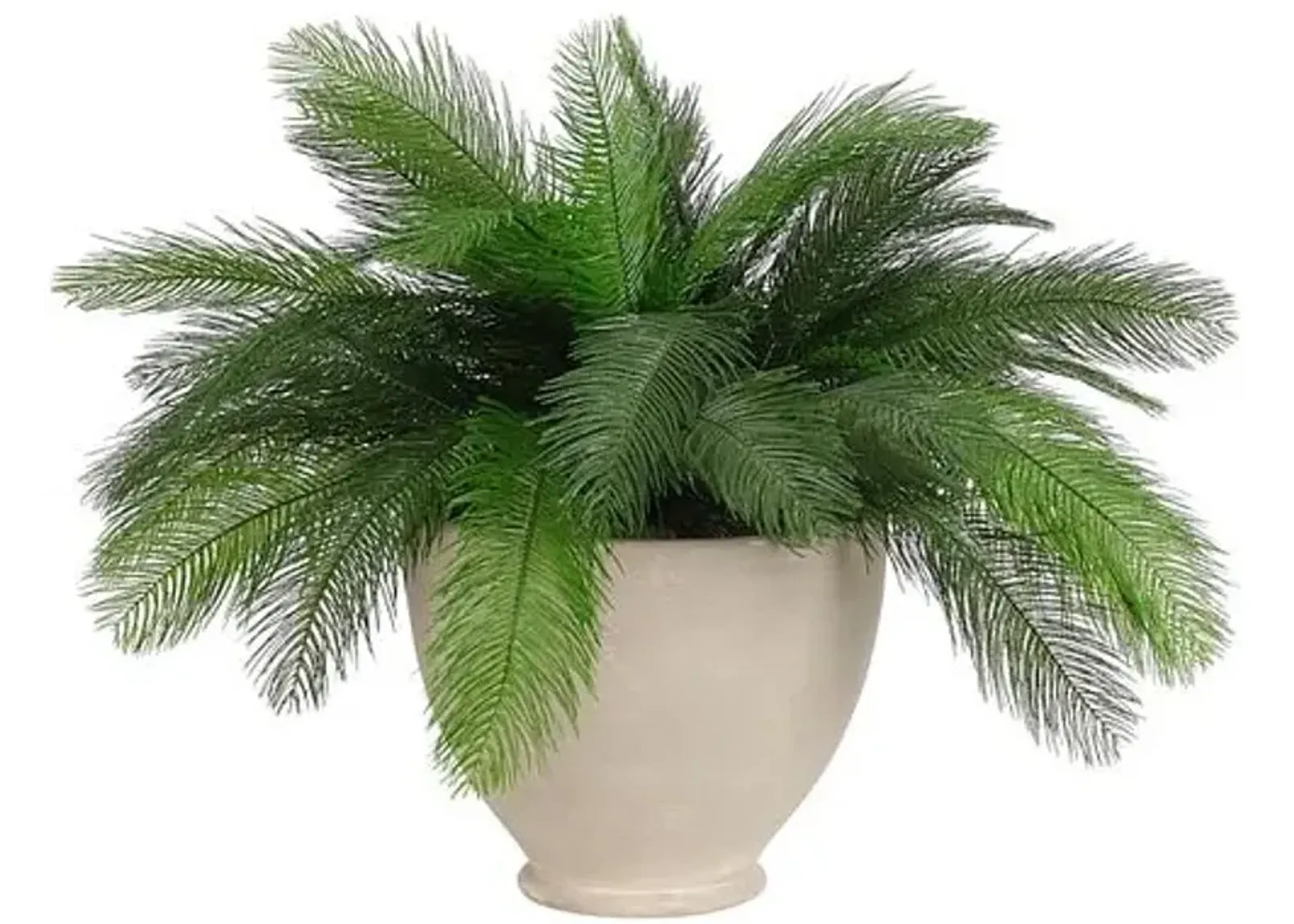 17" Feather Fern in Pottery Bowl - Faux - NDI - Green