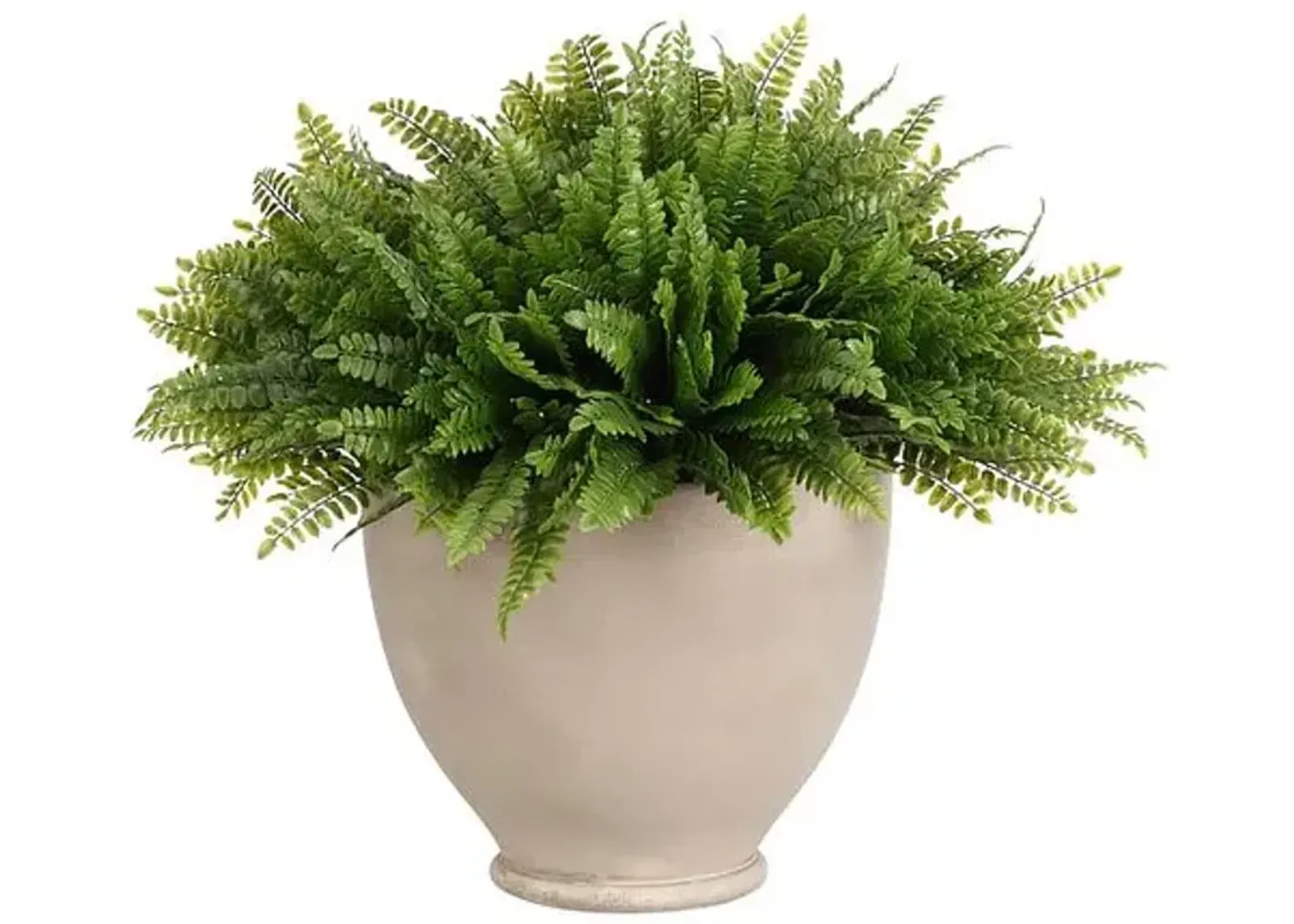 15" Fern Boston in Pottery Bowl - Faux - NDI - Green