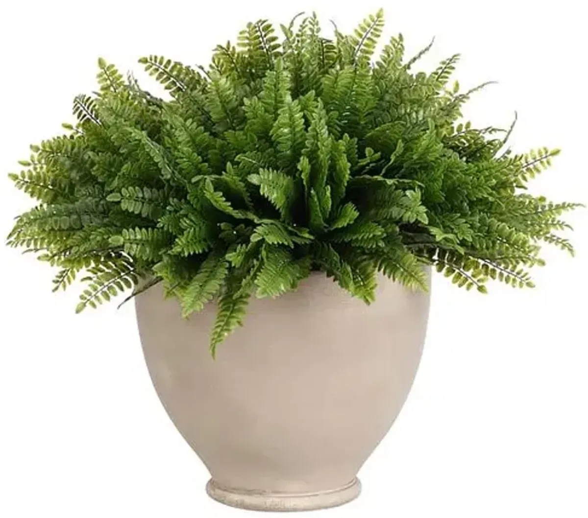 15" Fern Boston in Pottery Bowl - Faux - NDI - Green