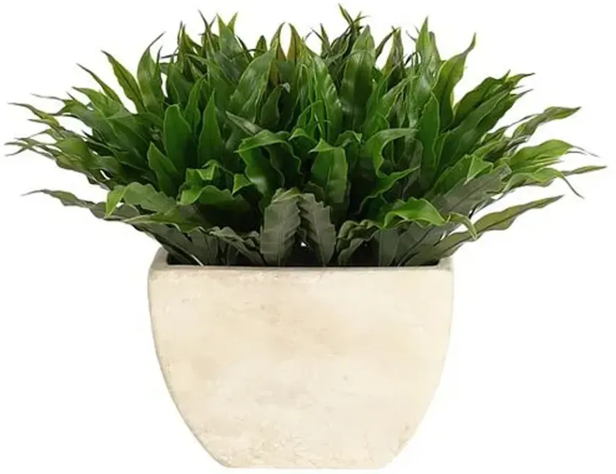 11" Fern Bird Nest in Round Ceramic Vase - Faux - NDI - Green