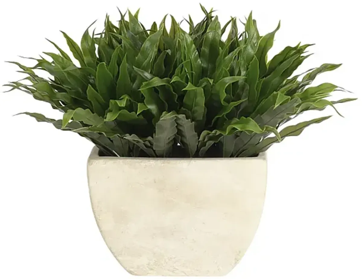 11" Fern Bird Nest in Round Ceramic Vase, Faux