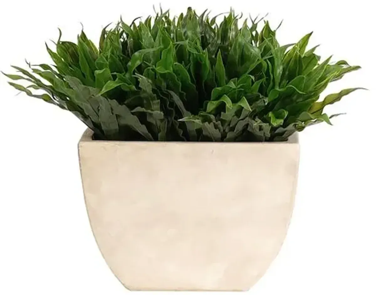 14" Fern Bird Nest in Rectangle Ceramic Vase - Faux - NDI - Green