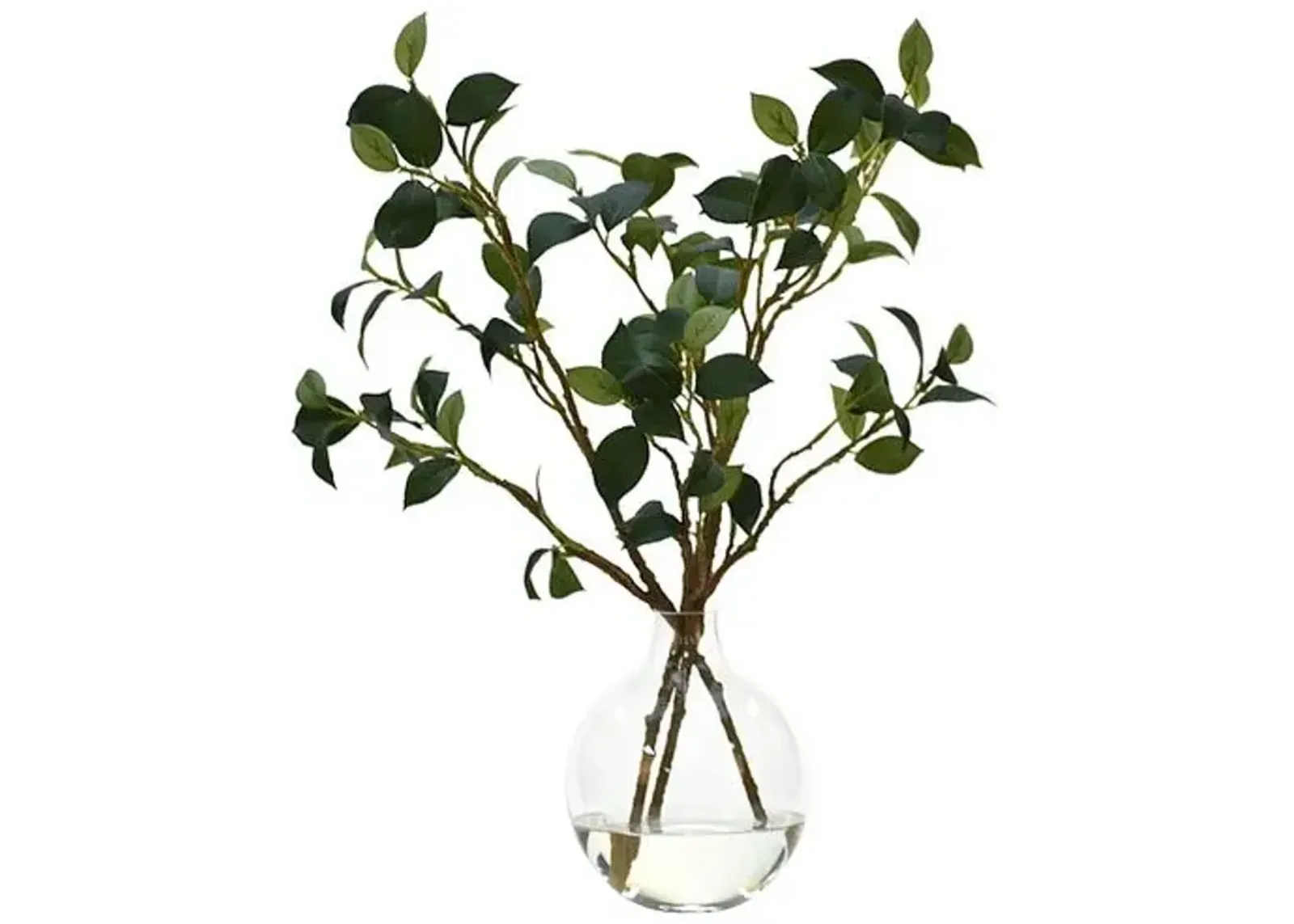 21" Camellia Leaf Branch in Glass Bulb Vase - Faux - NDI - Green