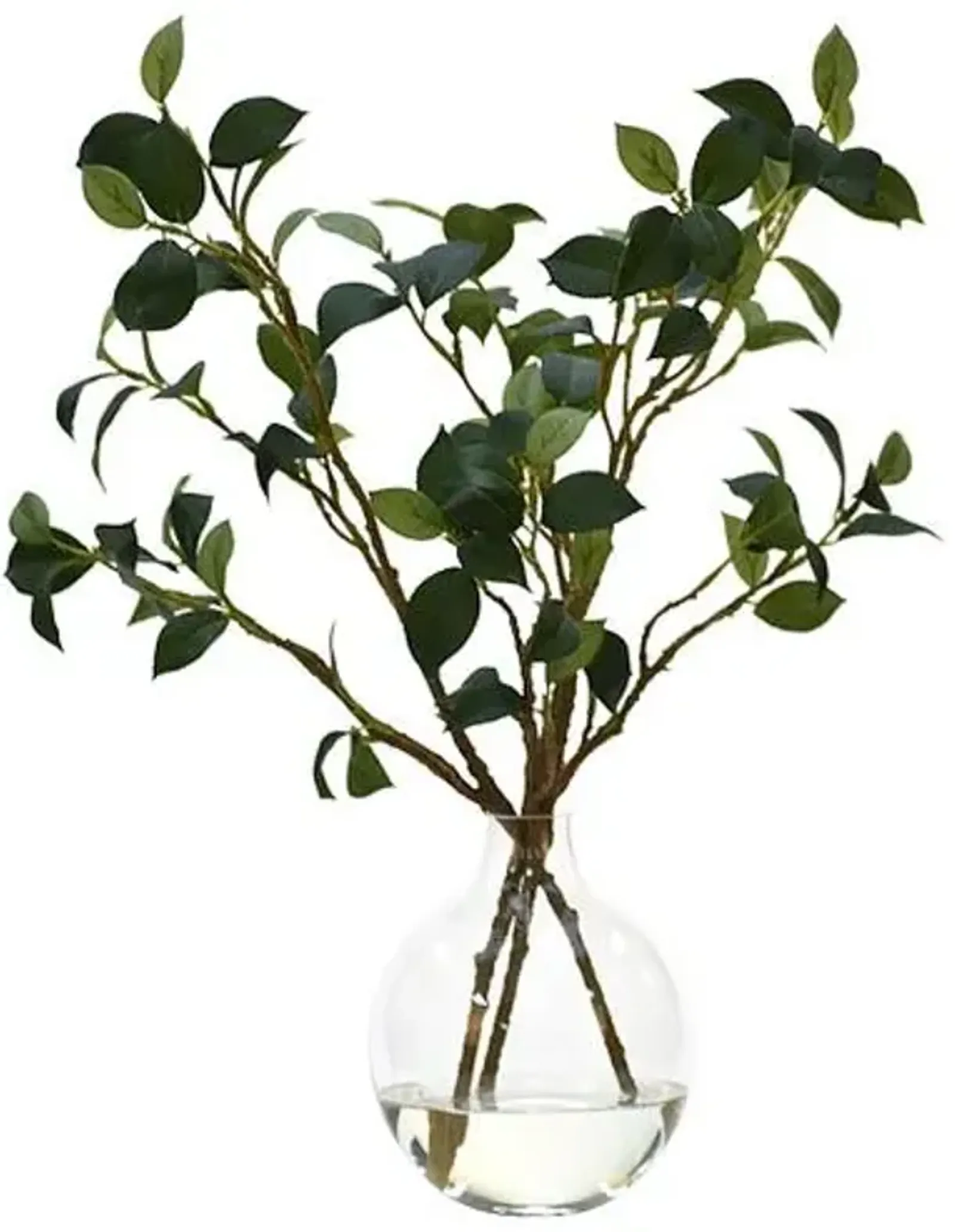 21" Camellia Leaf Branch in Glass Bulb Vase - Faux - NDI - Green