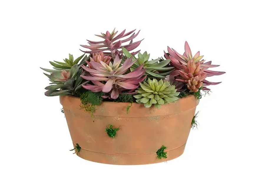 12" Succulent in Terracotta Pot - Faux - NDI - Green