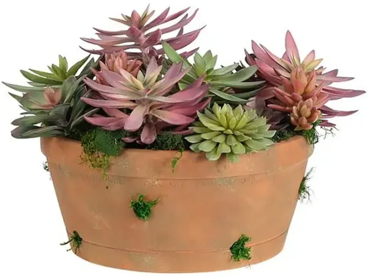 12" Succulent in Terracotta Pot - Faux - NDI - Green