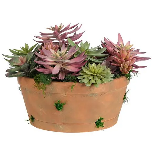 12" Succulent in Terracotta Pot - Faux - NDI - Green